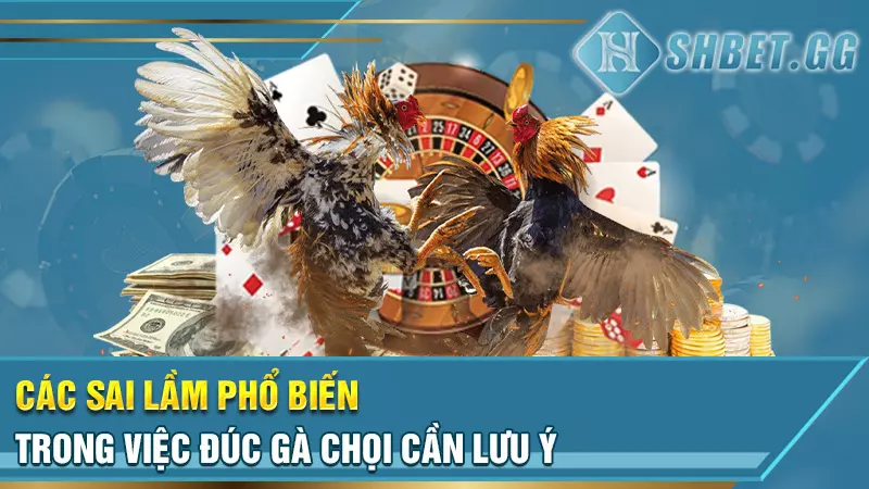 Sư kê lão làng chia sẻ kinh nghiệm đúc gà chọi thiện chiến 7 Các sai lầm phổ biến trong việc đúc gà chọi cần lưu ý