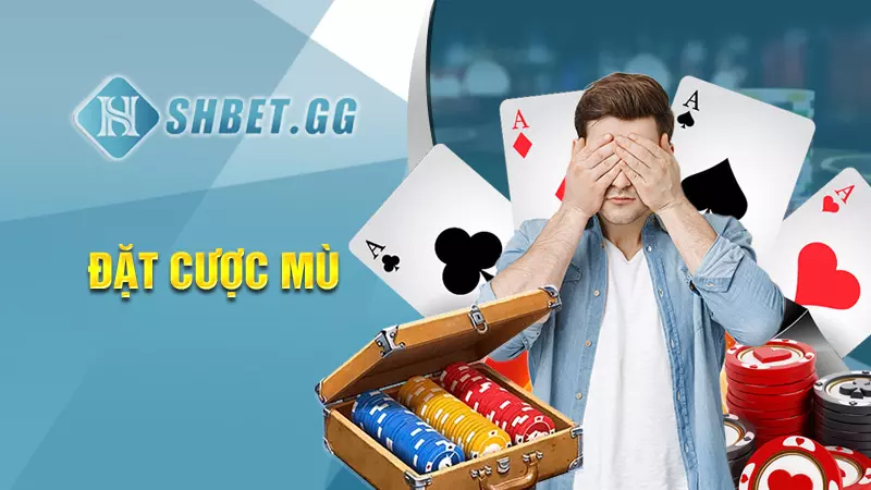 Hướng dẫn chơi xì tố chi tiết cho những người mới bắt đầu 4 Đặt cược mù
