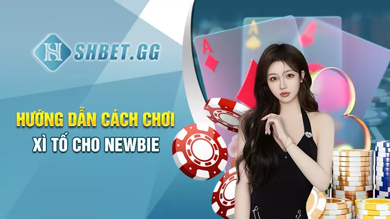Hướng dẫn chơi xì tố chi tiết cho những người mới bắt đầu 3 Hướng dẫn cách chơi xì tố cho newbie
