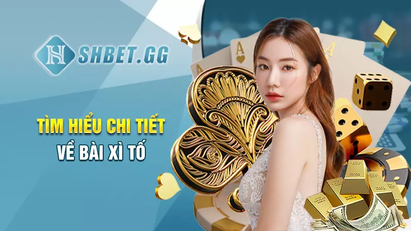 Hướng dẫn chơi xì tố chi tiết cho những người mới bắt đầu 2 Tìm hiểu chi tiết về bài xì tố