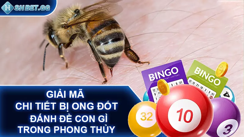 Giải mã bị ong đốt đánh đề con gì cho chính xác 4 Giải mã chi tiết bị ong đốt đánh đề con gì trong phong thủy