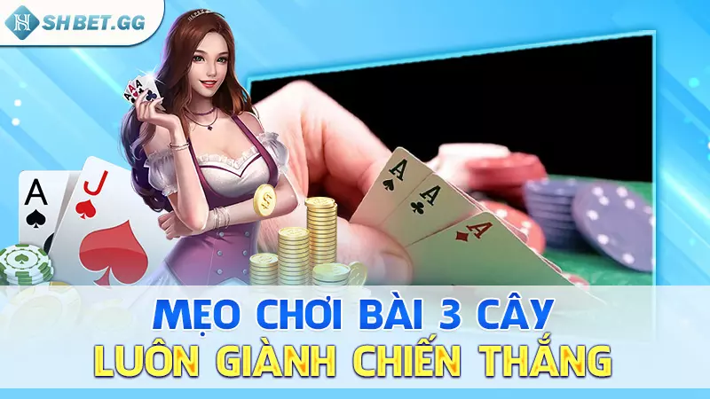 Sáp trong 3 cây Là Gì? Cách chơi bài 3 cây luôn thắng 6 Mẹo chơi bài 3 cây luôn giành chiến thắng