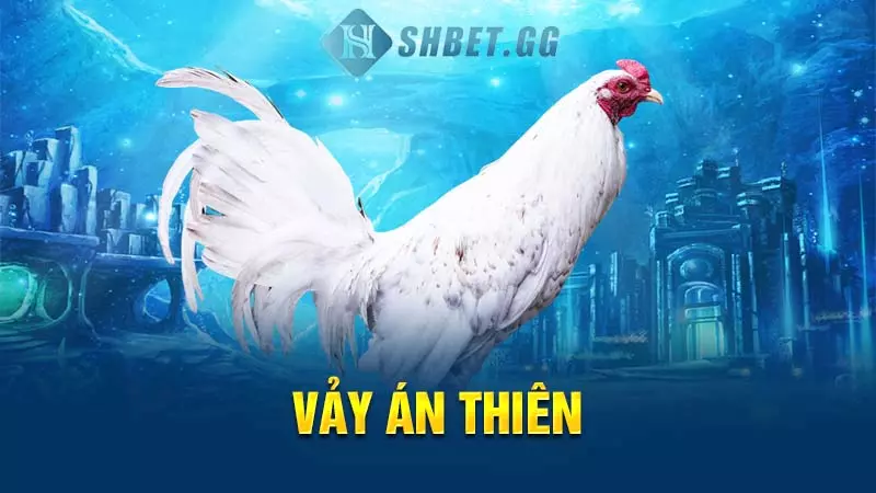 Khám phá thông tin thú vị về 78 vảy gà tốt nên chọn 5 Vảy án thiên